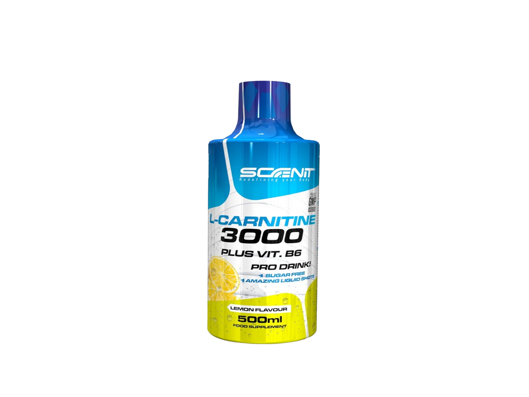 L-CARNITINA SABOR LIMÓN